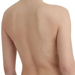 ADHESIVE BRA - skin - Master