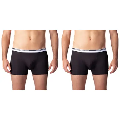 BOXER COLOURS 2x primary image