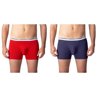 BOXER COLOURS 2x primary image
