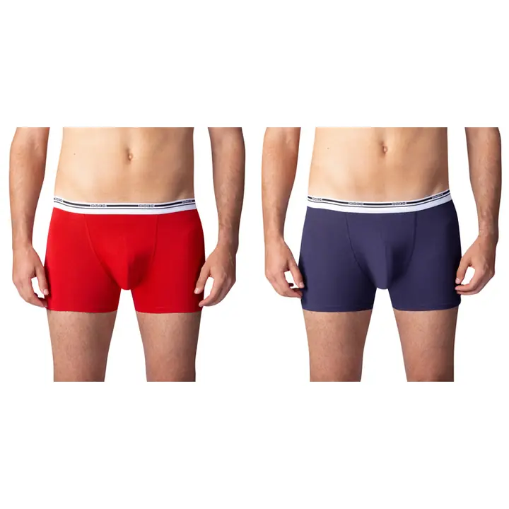 BOXER COLOURS 2x - Master